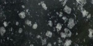 Black Coin Granite Slab