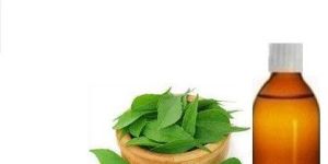 Curry Leaf Oil