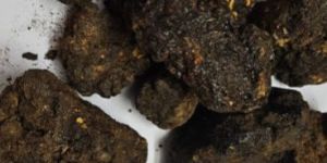 Shilajit Stone