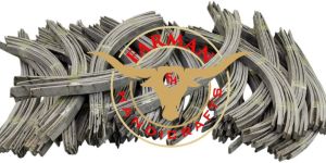 Natural RAM Horn Scale Plate