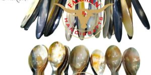 Ox Horn and Wooden Serving Spoon Set