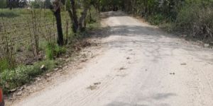 80 Acres Sale Agriculture Land Budaun Uttar Pradesh India