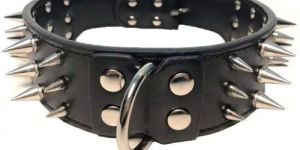 Spike Dog Collar