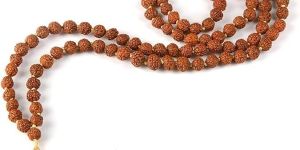 Rudraksha Seed Prayer Beads Wrist Mala Size 9 Mm