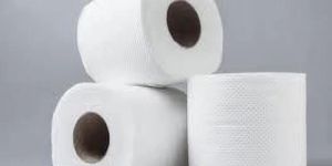 Toilet Paper Roll