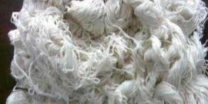 White Cotton Waste