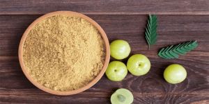 Amla Powder