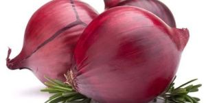 Fresh Medium Size Red Onion