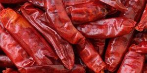 Kashmiri Dry Red Chilli