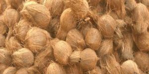 Semi Husked Mature Coconut