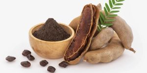 Spray Dried Tamarind Powder
