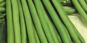 a Grade Green French Beans