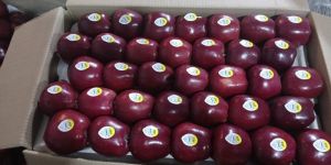 Super Royal Fresh Kashmiri Apple