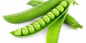 Natural Fresh Green Peas