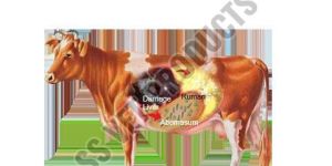 Digon Animal Feed Supplement