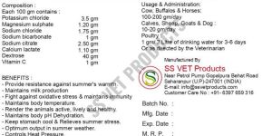 SS Cool Electrolyte Balance Powder