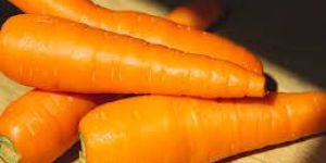 Fresh Carrot