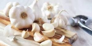 Fresh Garlic