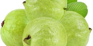 Fresh Guava