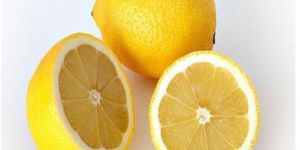 Fresh Lemon