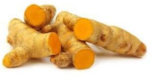 Turmeric Finger