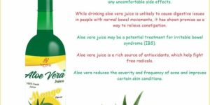 Aloevera Juice (Mango) Flavor