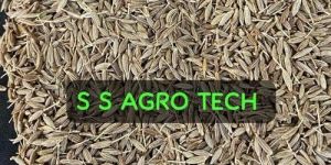 2nd Quality Cumin Seeds