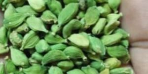 6 Mm Green Cardamom