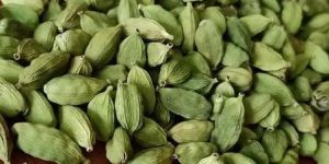 7 Mm Green Cardamom