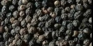 Bold Black Pepper Seeds