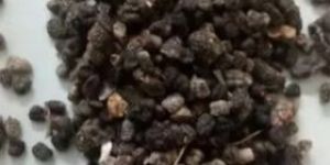 Dried Cardamom Seeds