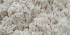 Cotton