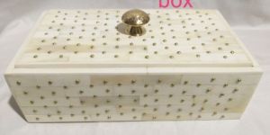 Bone Storage Box with Brass Stud
