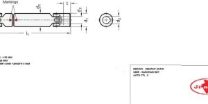 Universal Joint