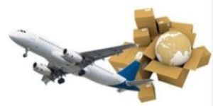 FedEx Courier Services in Noida