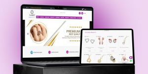 Web Solution Services