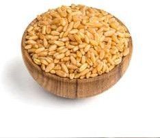 Organic Wheat Grains