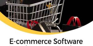 Ecommerce Marketplace Software Development Service