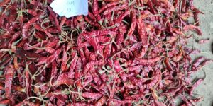 Teja Red Chilli