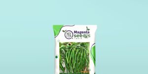Hybrid Chilli Seeds