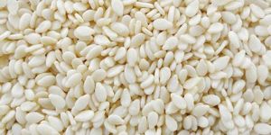 Organic White Sesame Seed