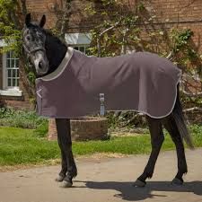 Horse Rugs