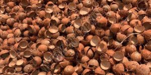 Coconut Shell