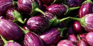 Fresh Eggplant Brinjal