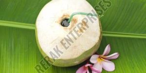 PEELED TENDER COCONUT