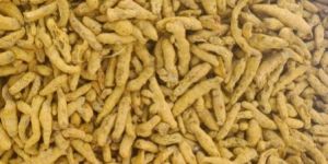 Finger Turmeric