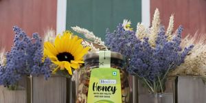 Dry Fruit Honey