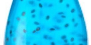 HIMALAY BLUE BERRY BASIL SEED DRINKS