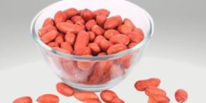 Organic Groundnut Seed