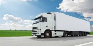Delhi to Siliguri Truck Transport Service